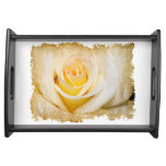 White Rose close-up Serving Tray