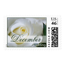 White Rose • December Wedding Stamp stamps