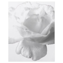 White Rose Design flyers