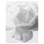 White Rose Design Custom Flyer