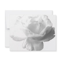 White Rose Design invitations by tirial White Rose Design invitations