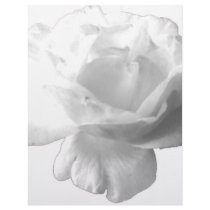 White Rose Design letterhead by tirial White Rose Design letterhead