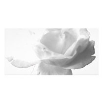 White Rose Design photo cards