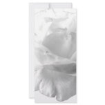 White Rose Design Personalized Rack Card