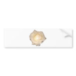 White Rose exclusive design! Bumper Stickers