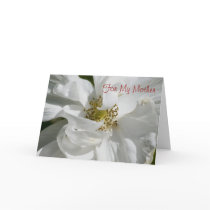 White Rose for Mom Card