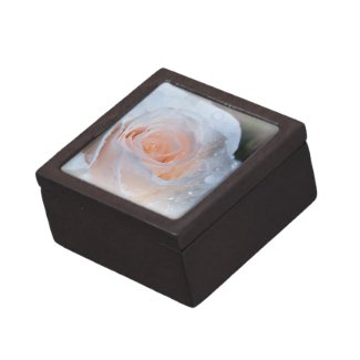 White Rose Gift Box planetjillgiftbox