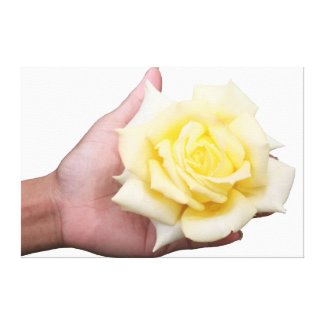 White rose in hand canvas. zazzle_wrappedcanvas