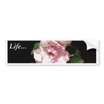 White Rose In Shadow bumper stickers