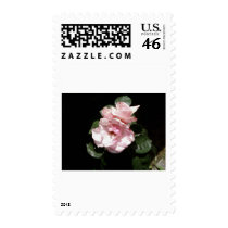 White Rose In Shadow Stamp
