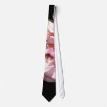 White Rose In Shadow ties