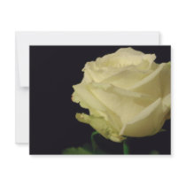 White Rose invitations