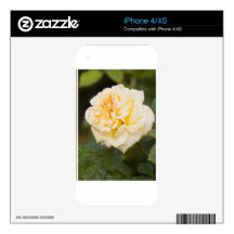 white rose.jpg decal for the iPhone 4