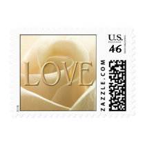 White Rose Love postage stamps