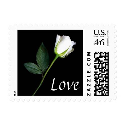 White Rose Love postage stamps