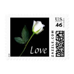 White Rose Love postage stamps