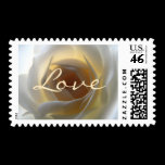 White Rose Love postage stamps by photoinspiration White Rose Love postage stamps
