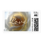 White Rose Love postage stamps