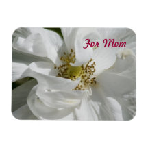 White Rose Mom Magnet