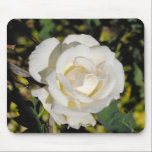 White Rose mousepads