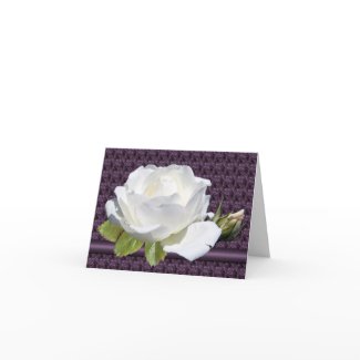 White Rose Note Cards card