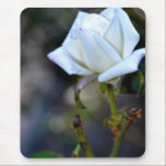 White Rose of Love mousepads