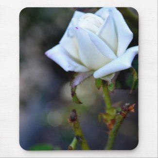 White Rose of Love Mouse Pads