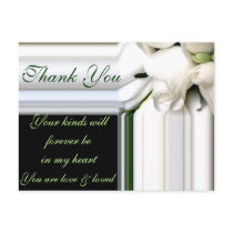 White Rose of Love_ Postcard