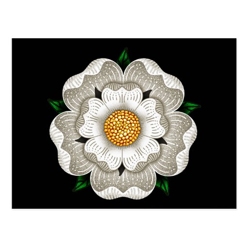 White rose of York Yorkshire rose, Wars of the roses, Elizabeth of york