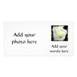 White Rose on Black and Gold Background Customized Photo Card