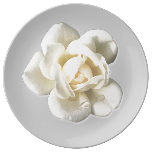 White Rose on Silver Gray Porcelain Plate