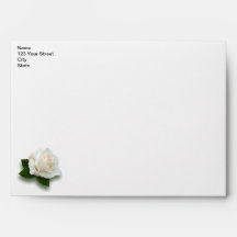 White Rose 'Pascali' Envelope