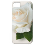 White Rose 'Pascali' iPhone 5 Cases