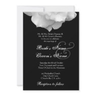WHITE Rose Petals Wedding Invitation invitation