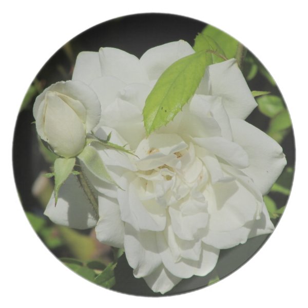 White Rose Plate