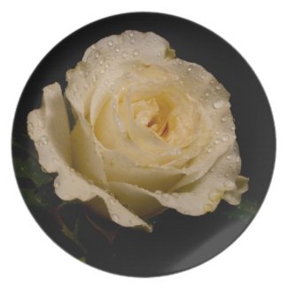 White Rose Plates