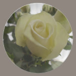 White rose plates plates