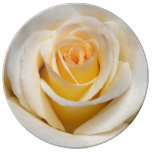 White Rose Porcelain Plate