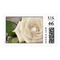 White Rose postage by hilory10028 White Rose postage