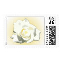 White Rose postage by psm108 White Rose postage
