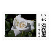 White Rose postage