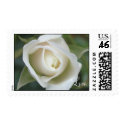 White Rose postage