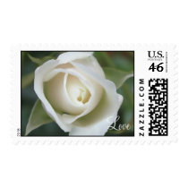 White Rose postage by jereeb White Rose postage