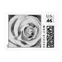 white rose postage