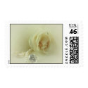 white rose postage postage by Ceyzpurplestang white rose postage postage
