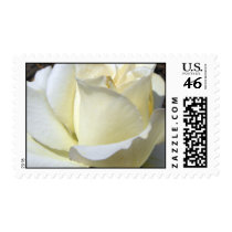 white rose postage