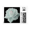 White Rose Postage postage