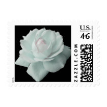 White Rose Postage