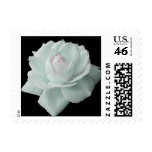 White Rose Postage postage
