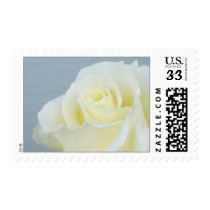 White Rose Postage (29 cent)
